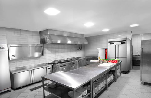 海派廚房設(shè)備廠 打造高效優(yōu)質(zhì)的食堂廚房設(shè)備與廚具衛(wèi)具解決方案